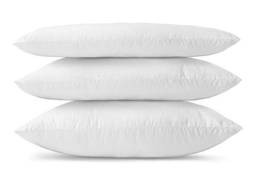 Lot oreillers en plumes